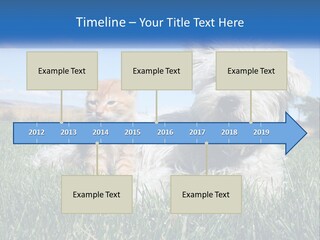 Power Conditioner Electric PowerPoint Template