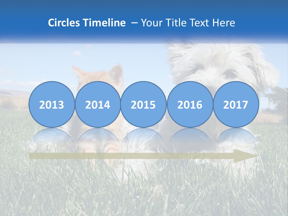 Power Conditioner Electric PowerPoint Template
