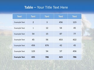 Power Conditioner Electric PowerPoint Template