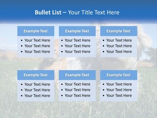 Power Conditioner Electric PowerPoint Template