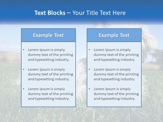 Power Conditioner Electric PowerPoint Template