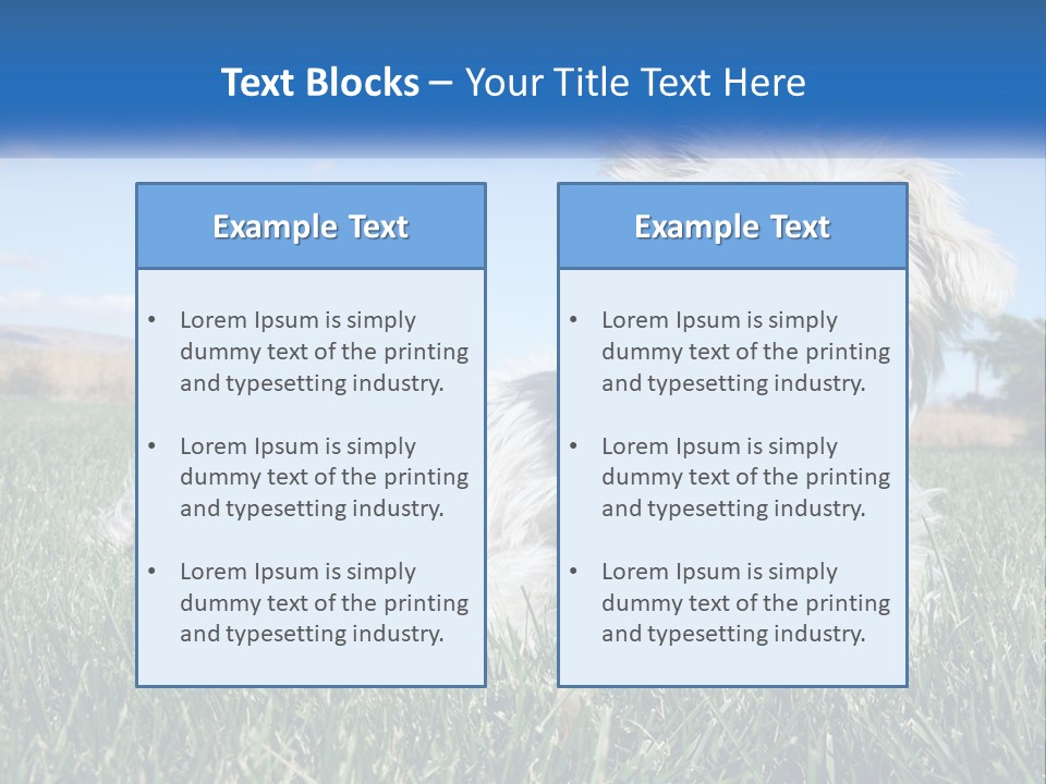 Power Conditioner Electric PowerPoint Template