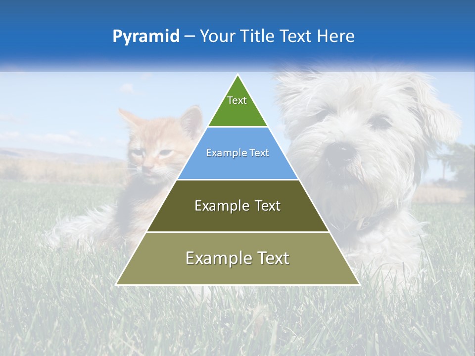 Power Conditioner Electric PowerPoint Template