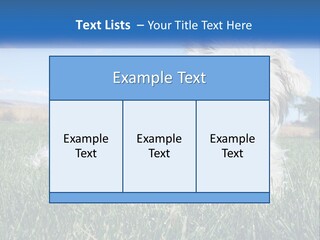 Power Conditioner Electric PowerPoint Template