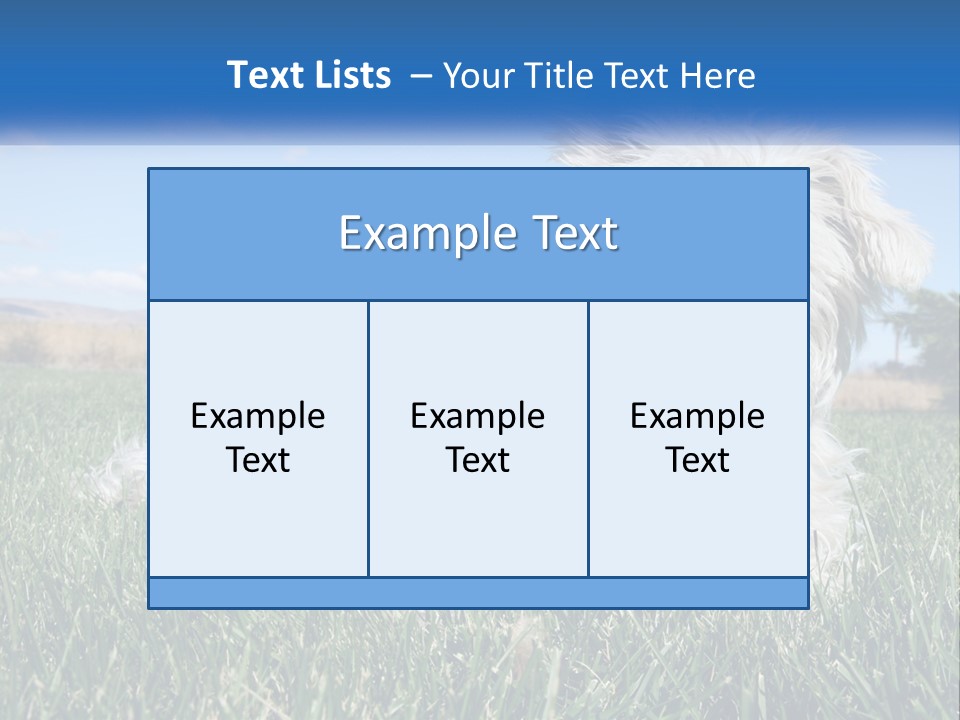 Power Conditioner Electric PowerPoint Template