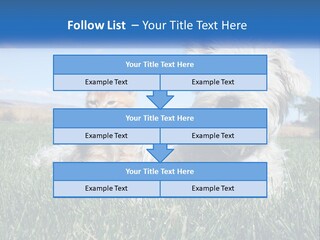 Power Conditioner Electric PowerPoint Template