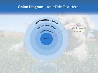 Power Conditioner Electric PowerPoint Template