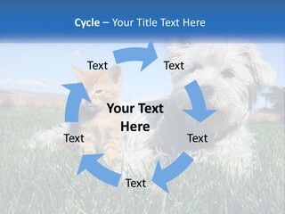 Power Conditioner Electric PowerPoint Template