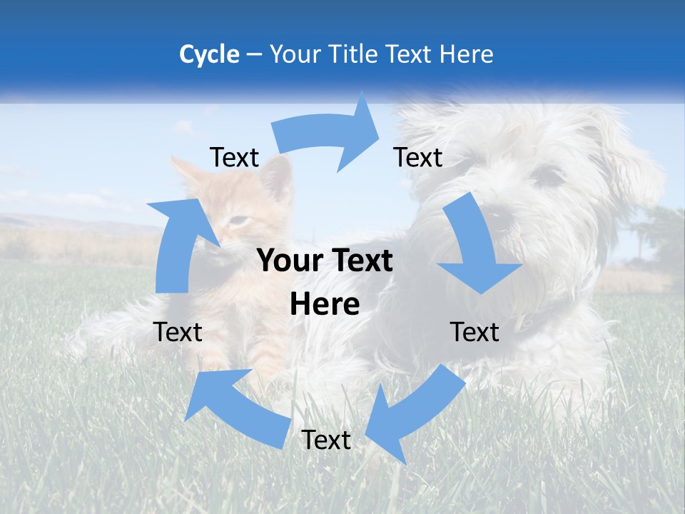 Power Conditioner Electric PowerPoint Template