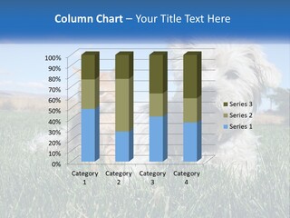 Power Conditioner Electric PowerPoint Template