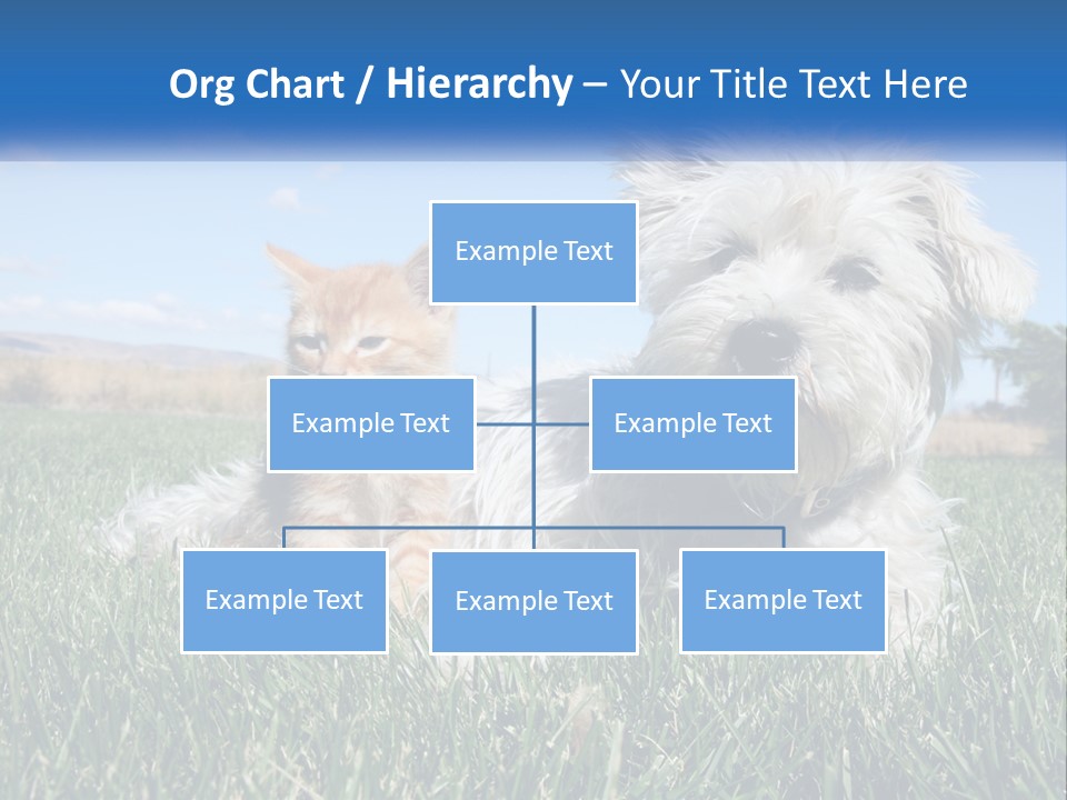 Power Conditioner Electric PowerPoint Template