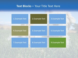 Power Conditioner Electric PowerPoint Template