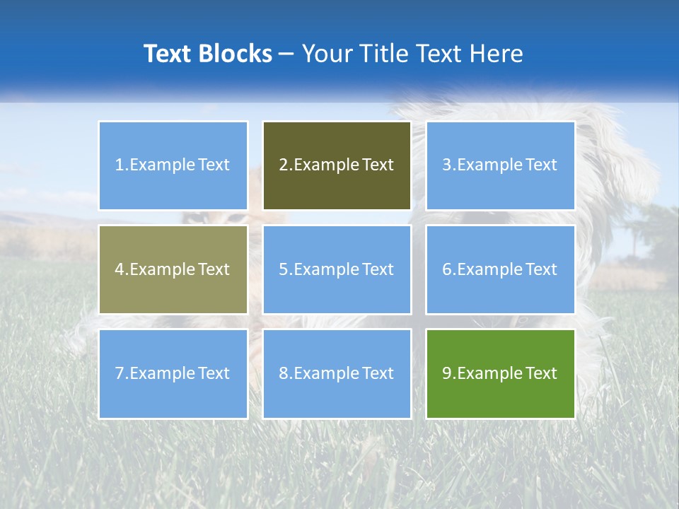 Power Conditioner Electric PowerPoint Template