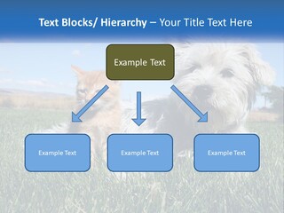 Power Conditioner Electric PowerPoint Template