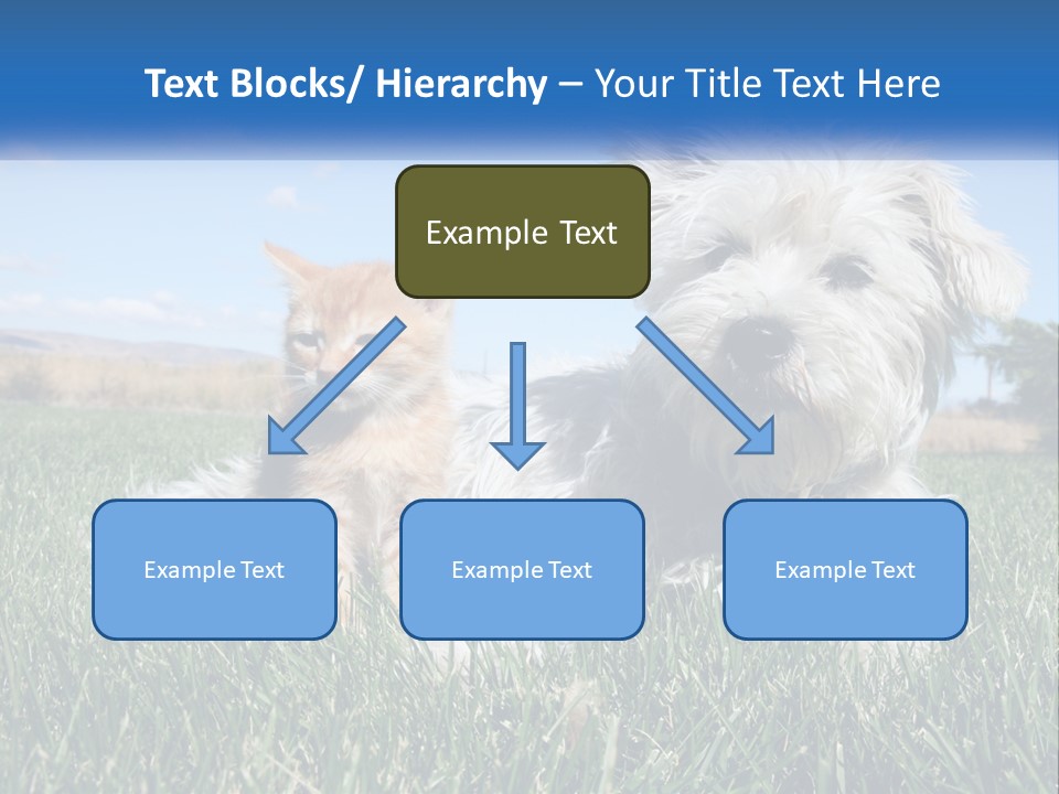 Power Conditioner Electric PowerPoint Template