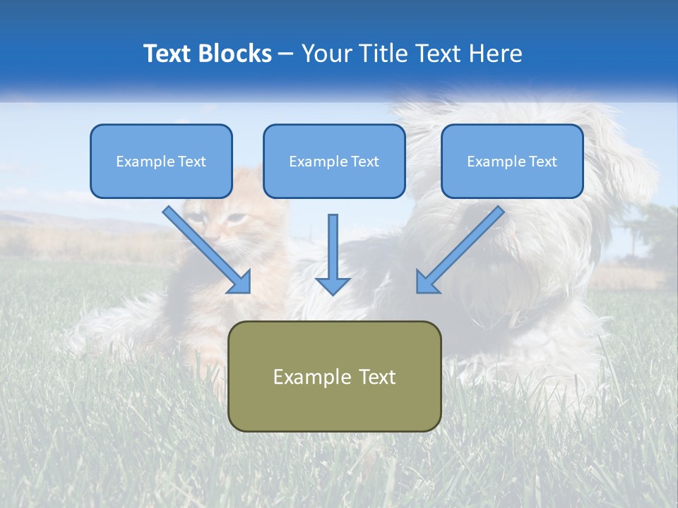 Power Conditioner Electric PowerPoint Template