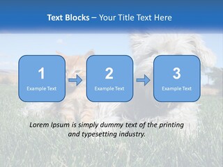 Power Conditioner Electric PowerPoint Template