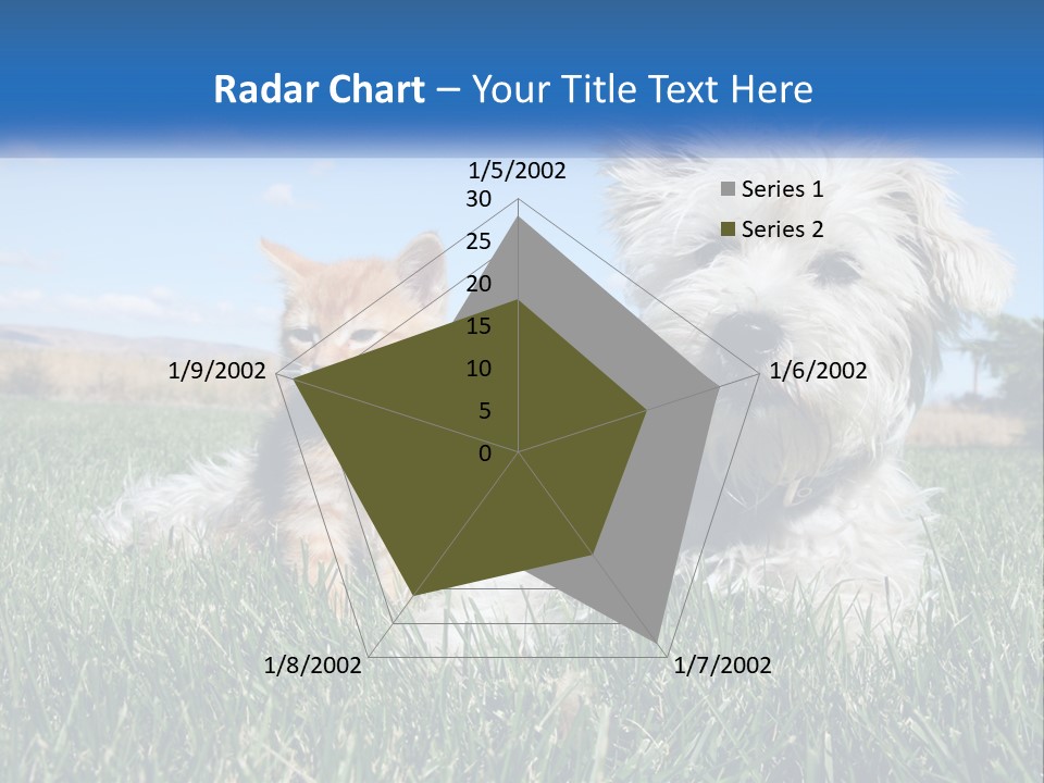 Power Conditioner Electric PowerPoint Template