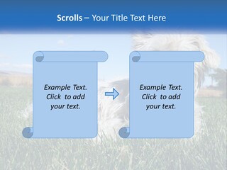 Power Conditioner Electric PowerPoint Template