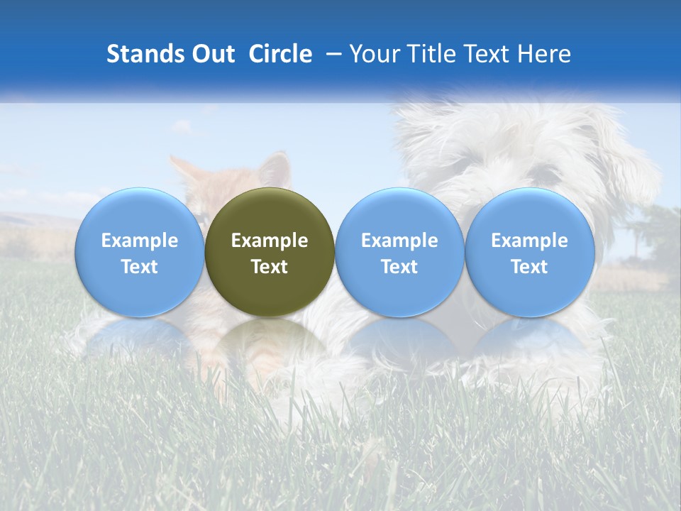 Power Conditioner Electric PowerPoint Template