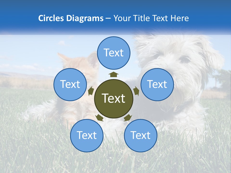 Power Conditioner Electric PowerPoint Template