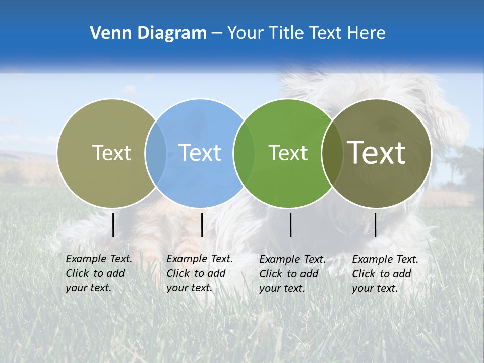 Power Conditioner Electric PowerPoint Template