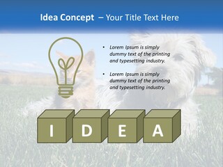 Power Conditioner Electric PowerPoint Template