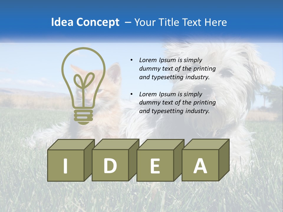 Power Conditioner Electric PowerPoint Template