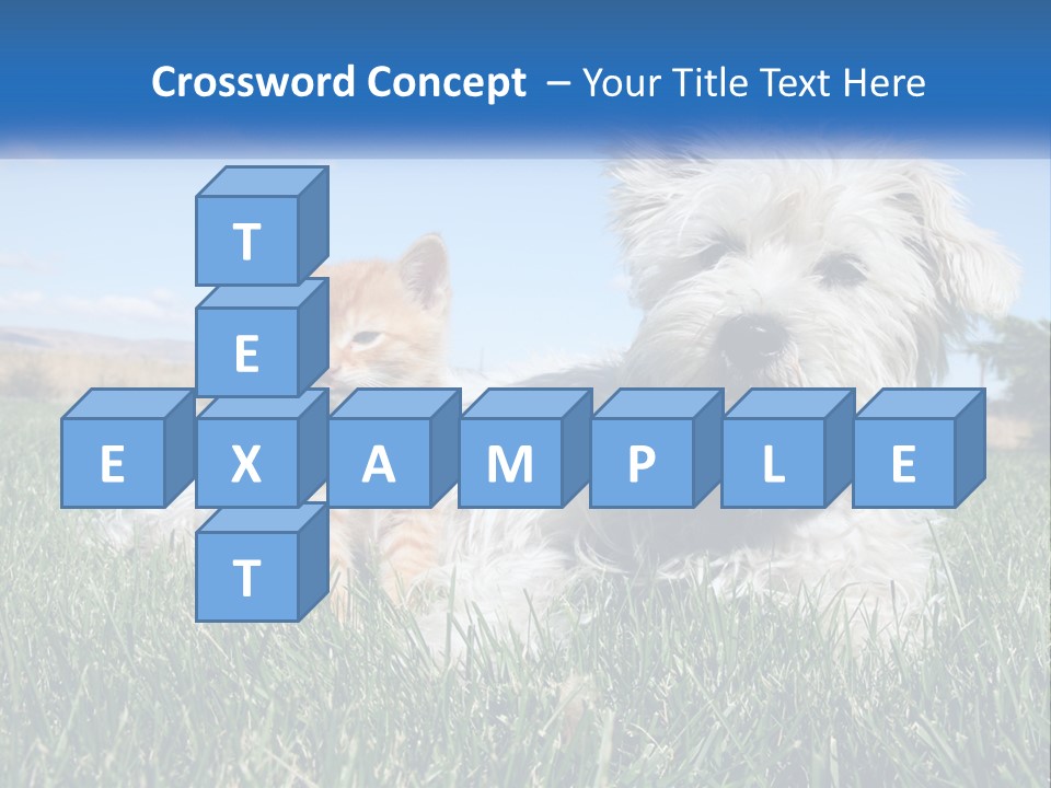 Power Conditioner Electric PowerPoint Template