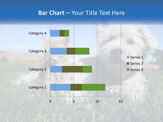 Power Conditioner Electric PowerPoint Template