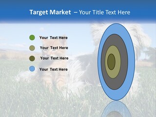 Power Conditioner Electric PowerPoint Template