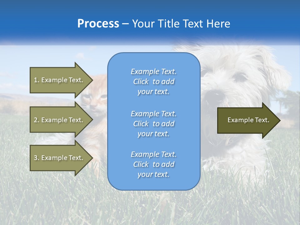 Power Conditioner Electric PowerPoint Template
