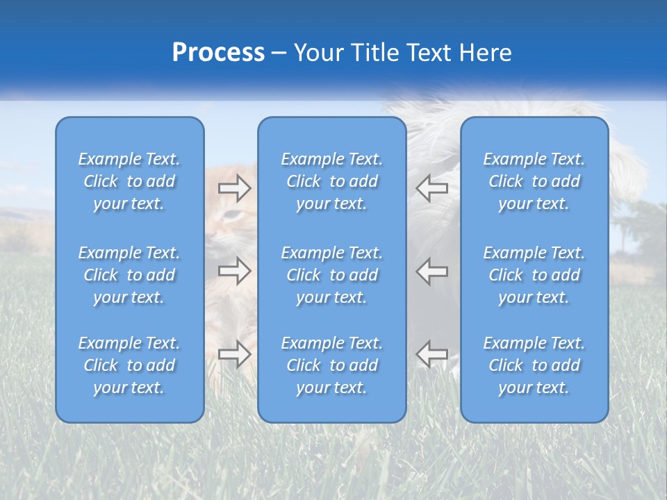 Power Conditioner Electric PowerPoint Template