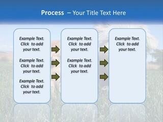 Power Conditioner Electric PowerPoint Template