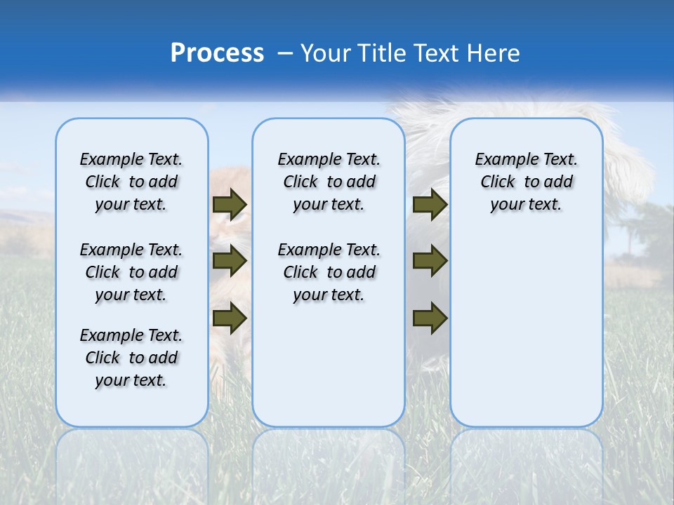 Power Conditioner Electric PowerPoint Template