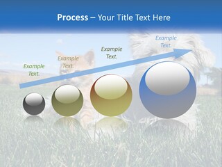 Power Conditioner Electric PowerPoint Template