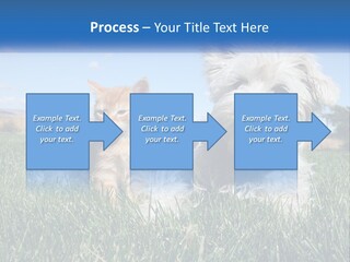 Power Conditioner Electric PowerPoint Template