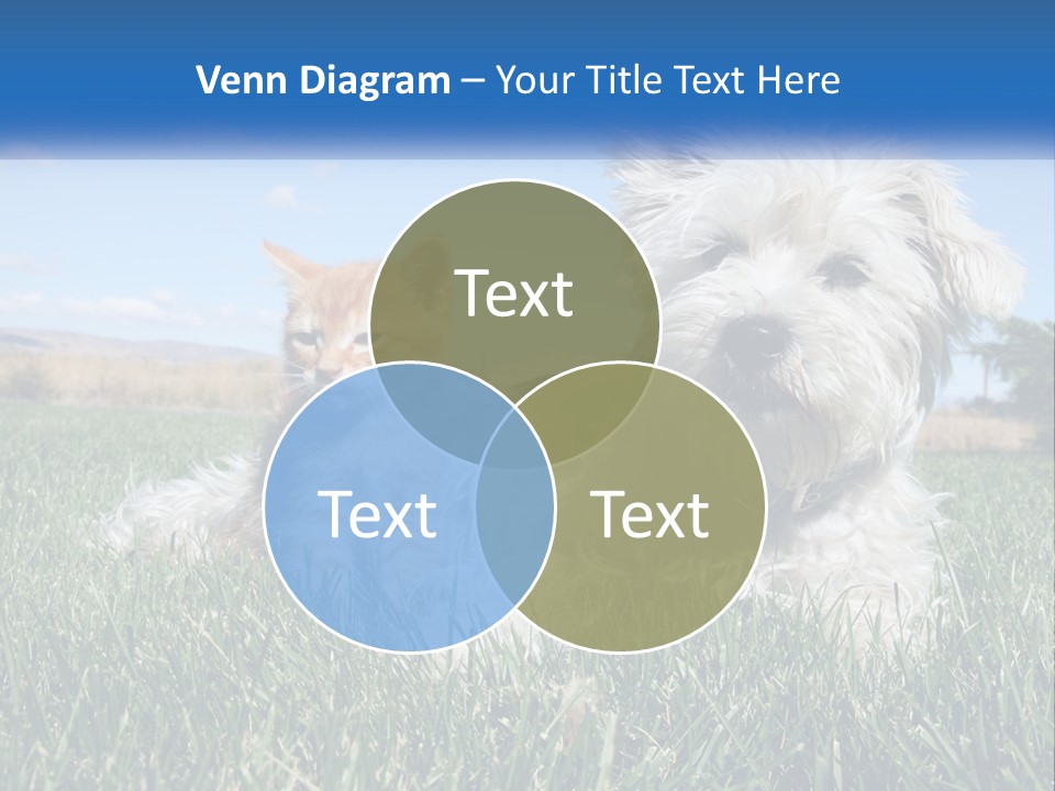 Power Conditioner Electric PowerPoint Template