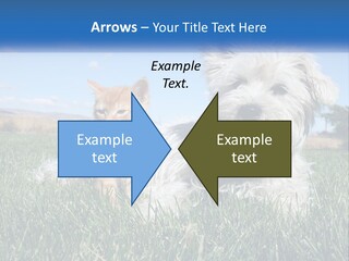 Power Conditioner Electric PowerPoint Template