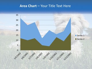 Power Conditioner Electric PowerPoint Template