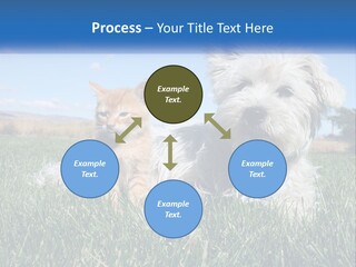 Power Conditioner Electric PowerPoint Template