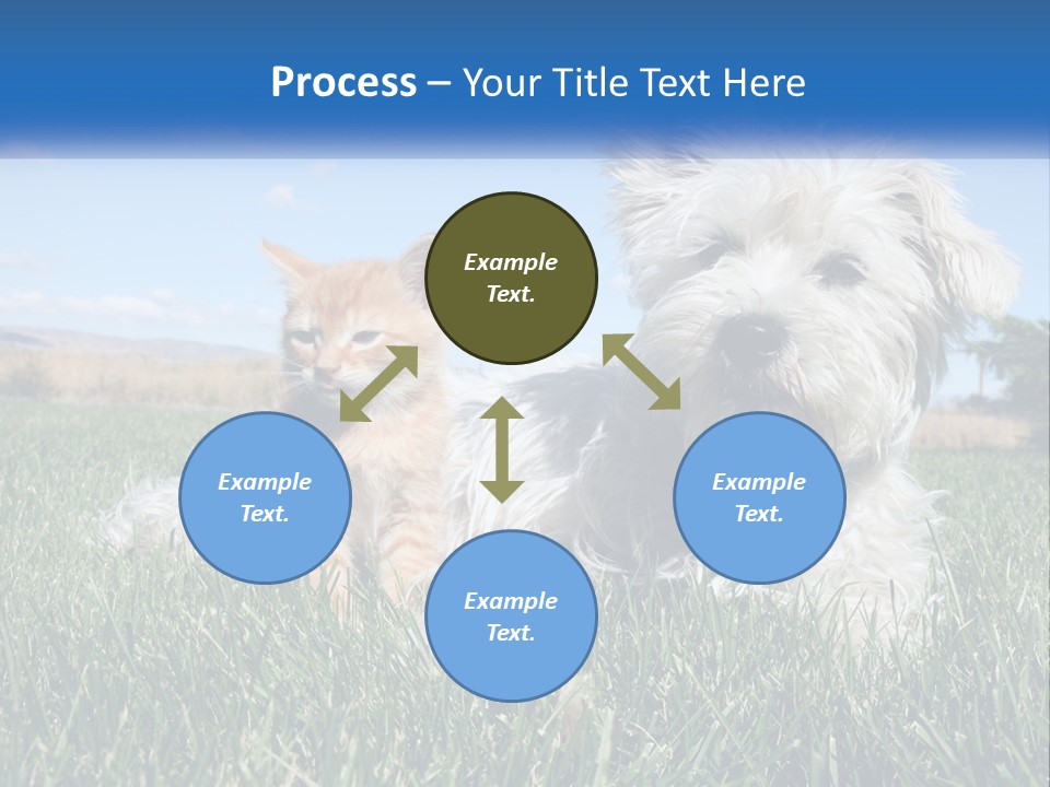 Power Conditioner Electric PowerPoint Template