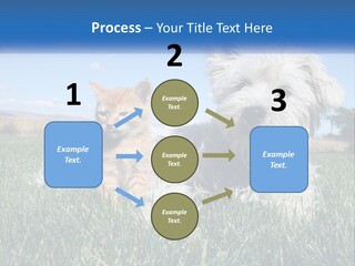 Power Conditioner Electric PowerPoint Template
