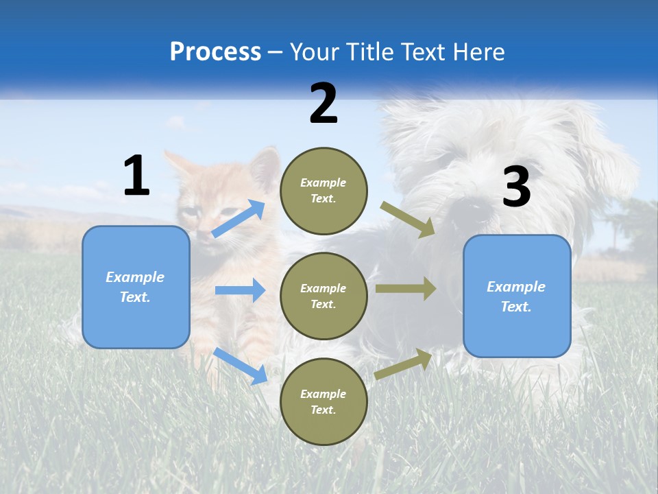 Power Conditioner Electric PowerPoint Template