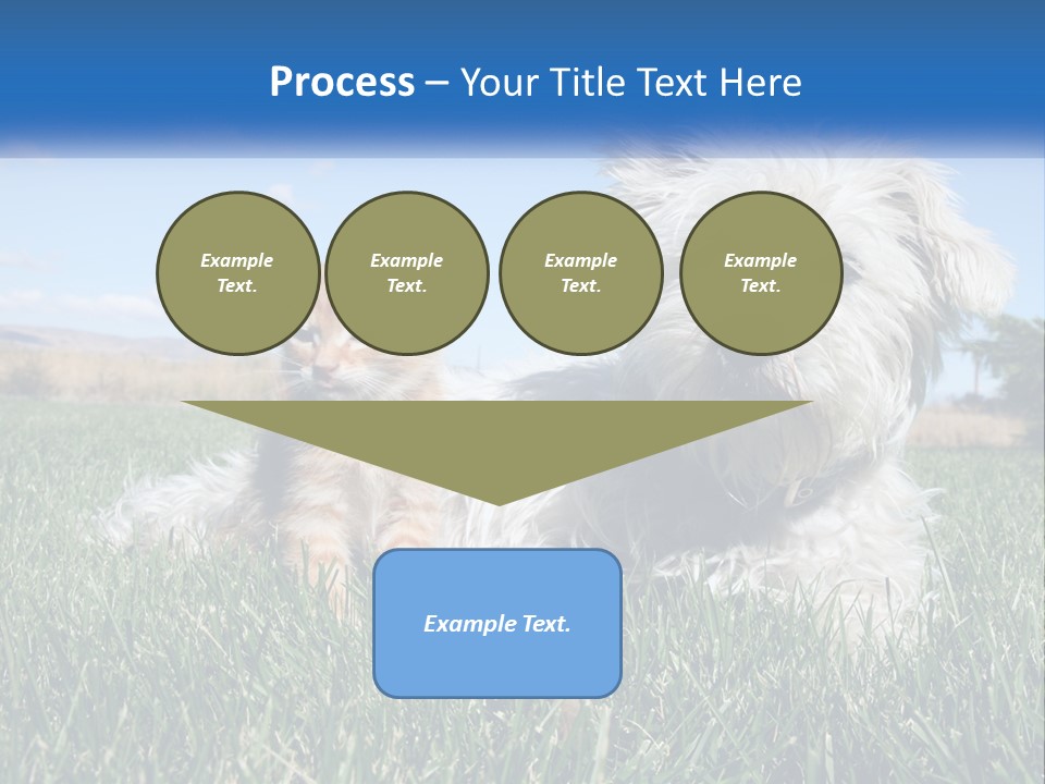 Power Conditioner Electric PowerPoint Template