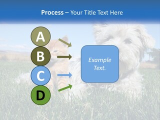 Power Conditioner Electric PowerPoint Template