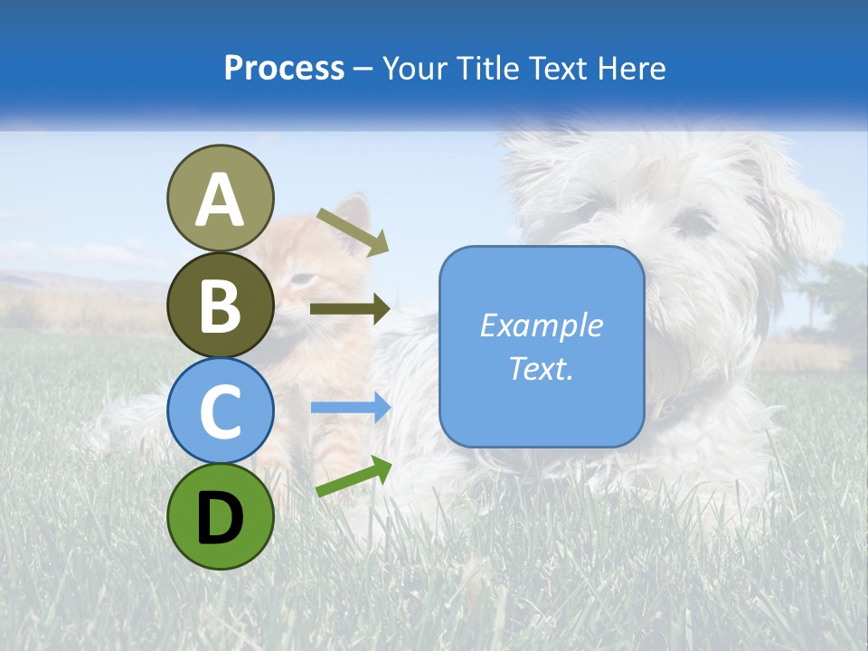 Power Conditioner Electric PowerPoint Template