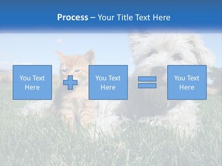 Power Conditioner Electric PowerPoint Template