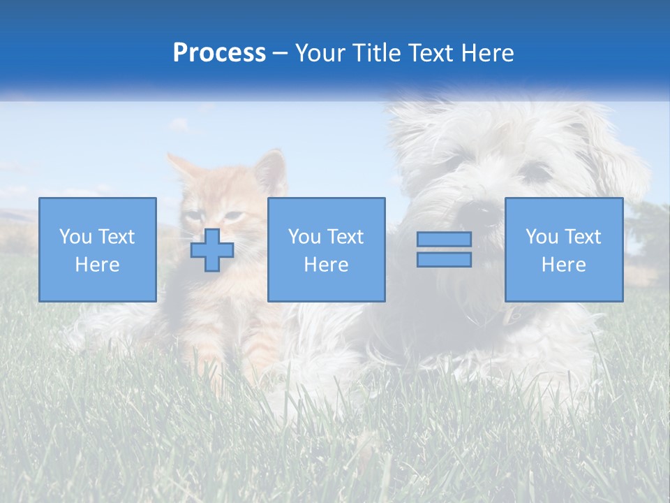 Power Conditioner Electric PowerPoint Template