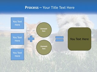 Power Conditioner Electric PowerPoint Template